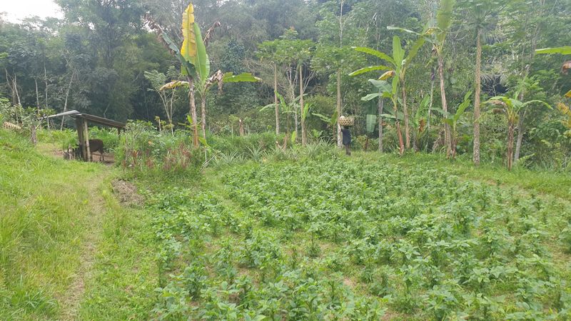 la-fin-du-parcours_9