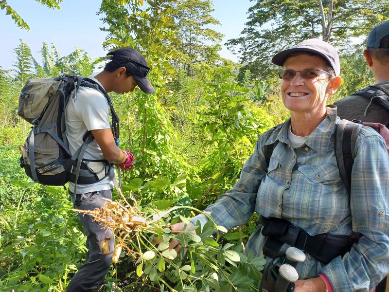 25-juillet-les-rizieres-de-pujungan-a-munduk_6