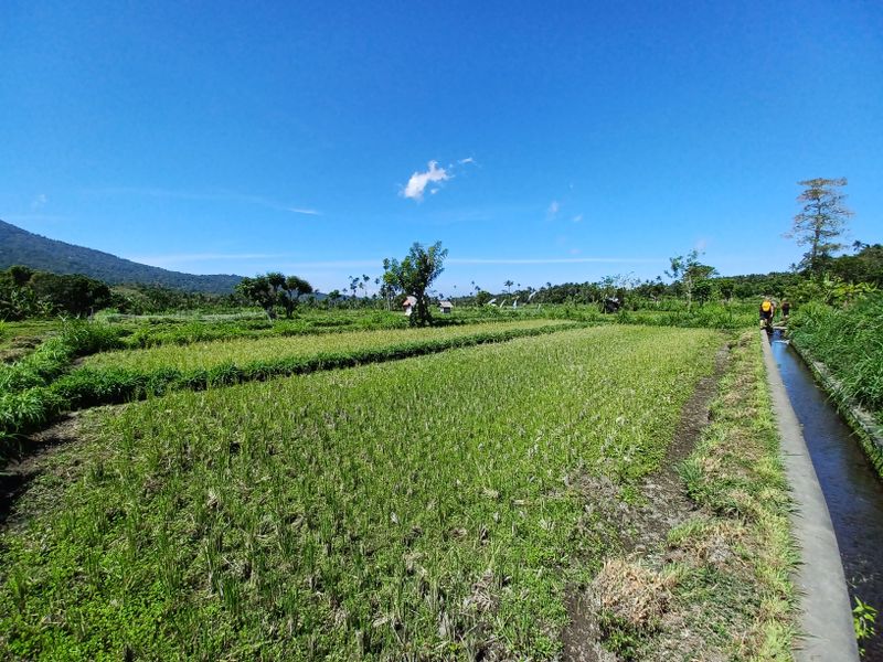 1-er-aout-des-rizieres-de-babi-aux-bains-royaux-de-tirtagangga_14