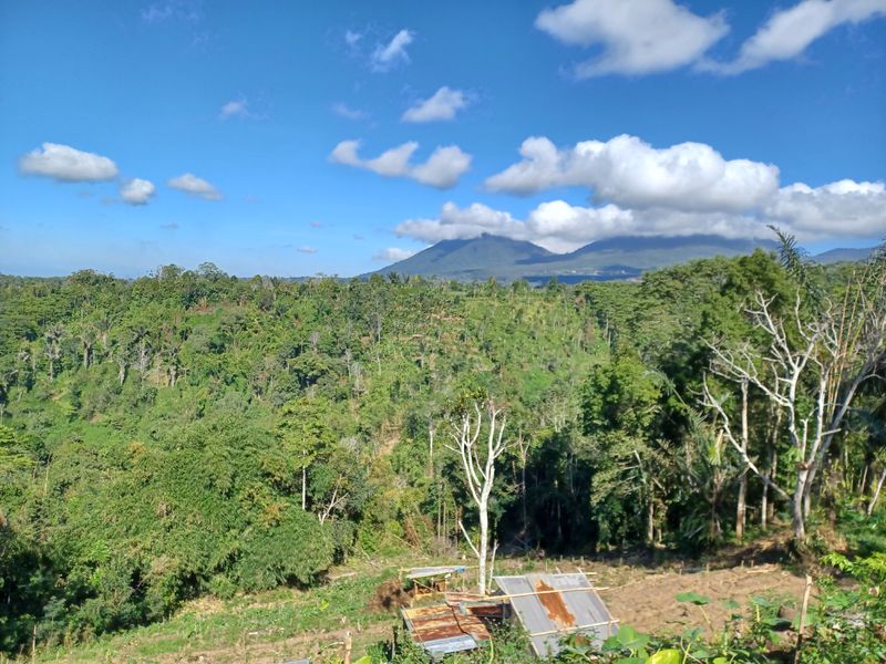 27-juillet-de-aoman-a-sebatu_4