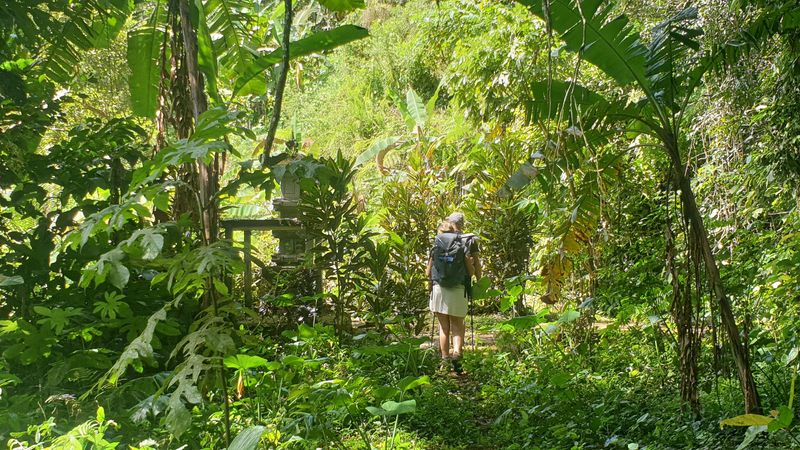 le-temple-de-gunung-kawi_8