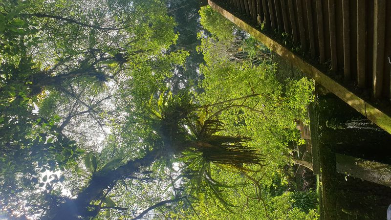 le-temple-mengening_4