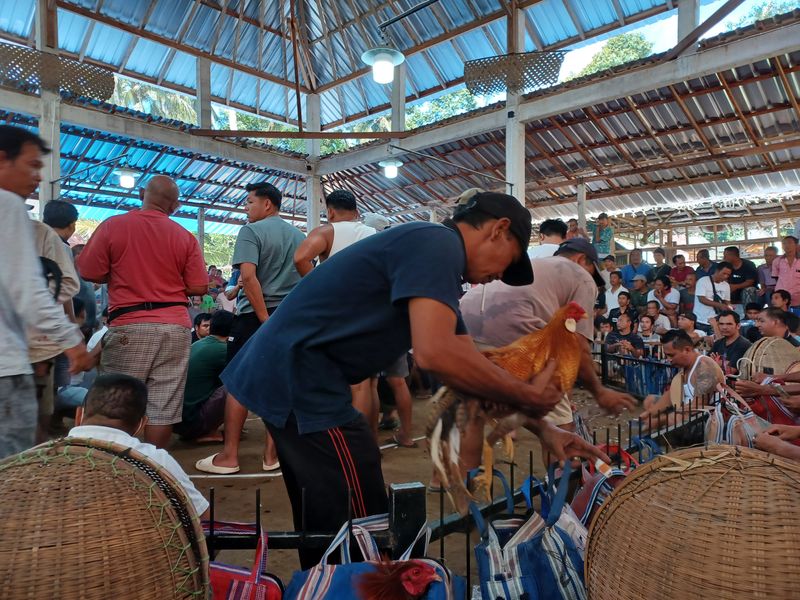 1-er-aout-des-rizieres-de-babi-aux-bains-royaux-de-tirtagangga_4