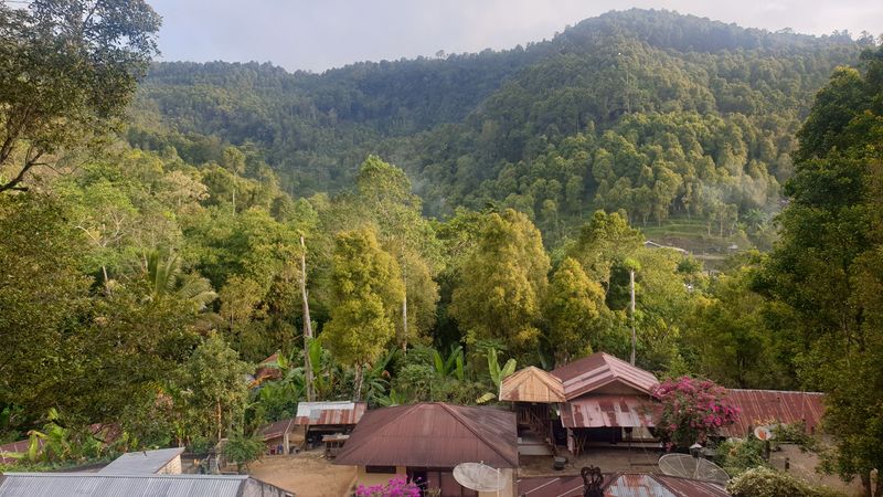 25-juillet-les-rizieres-de-pujungan-a-munduk_22