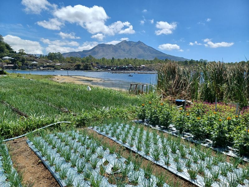 29-juillet-ascension-du-volcan-batur