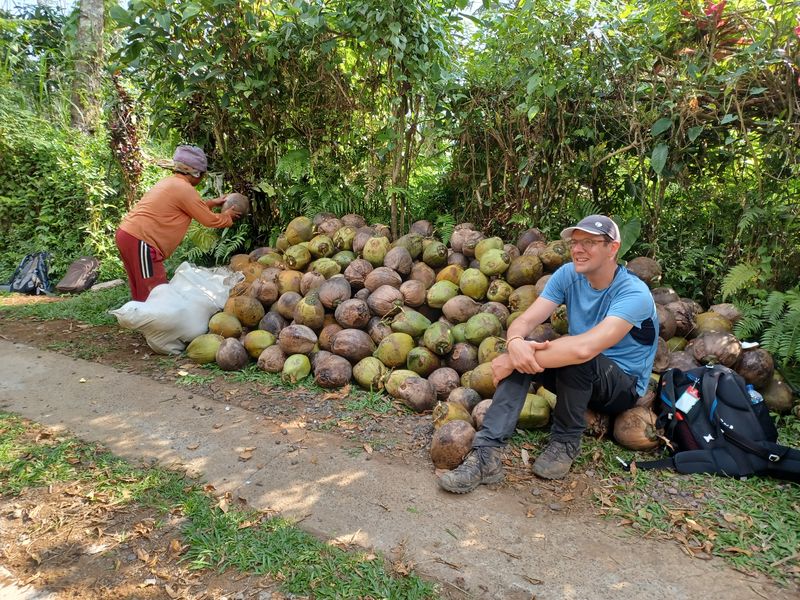 les-rizieres-de-belimbing