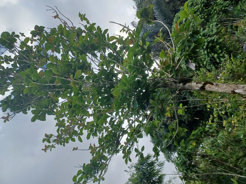 la-fin-du-parcours_2