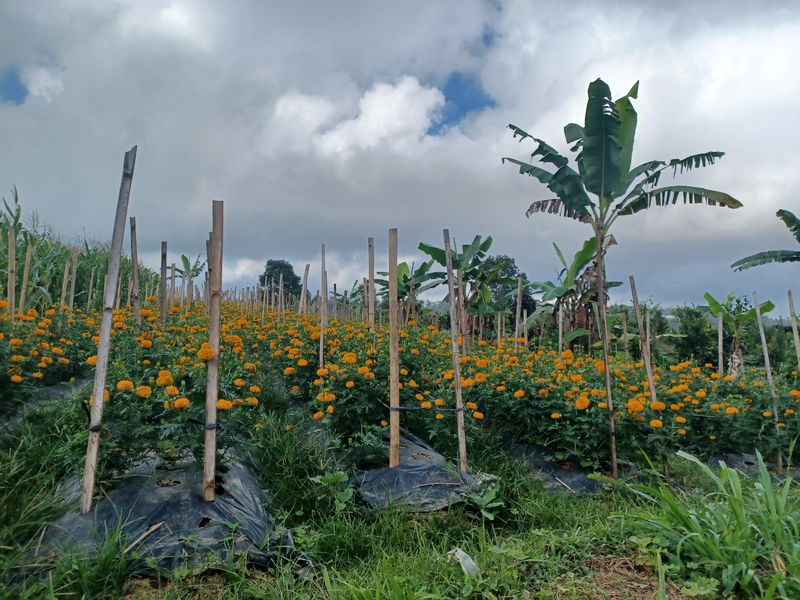 la-fin-du-parcours_3