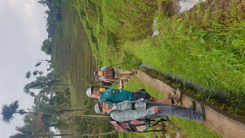 les-rizieres-de-belimbing_9