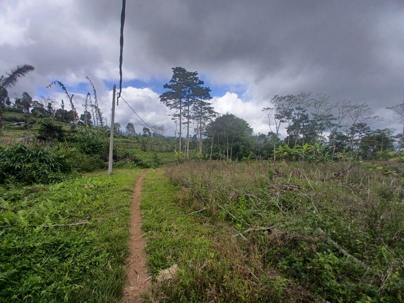 la-campagne-de-antapan_4