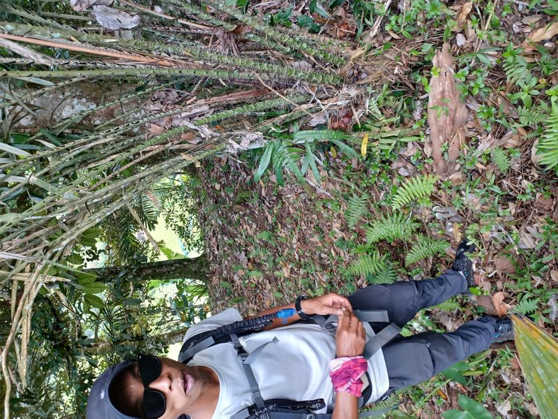 les-rizieres-de-belimbing