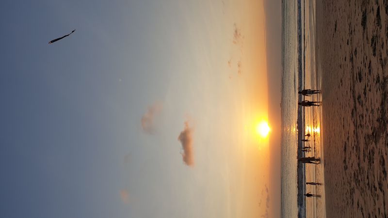 3-aout-retour-vers-jimbaran_4