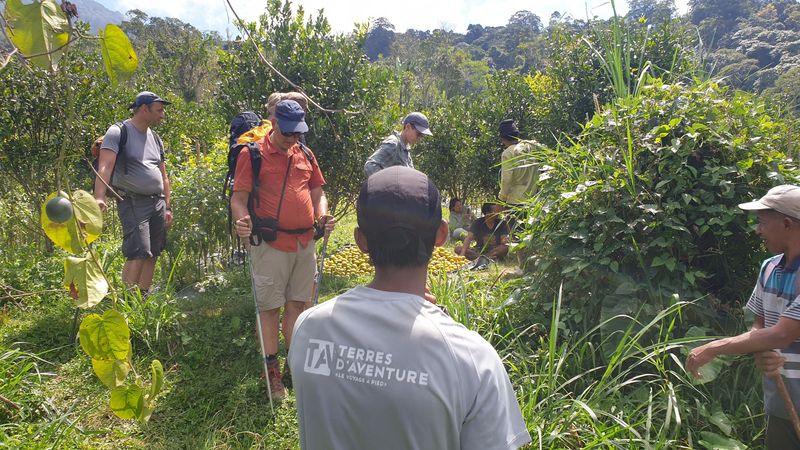 27-juillet-de-aoman-a-sebatu_3