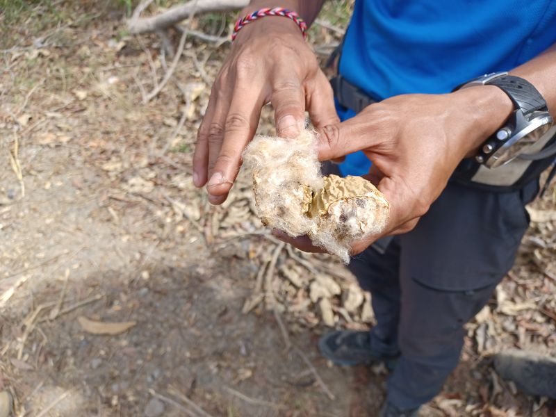 30-juillet-du-lac-batur-a-amed_7