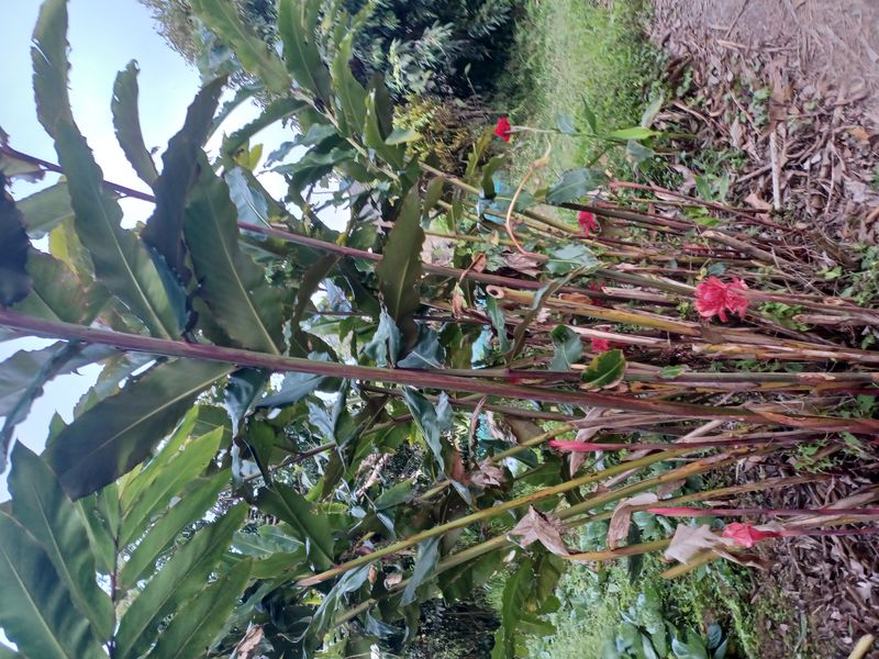 la-fin-du-parcours_2