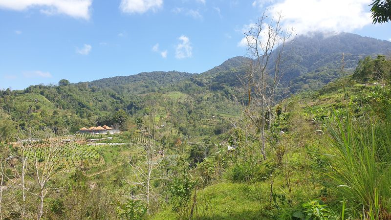 27-juillet-de-aoman-a-sebatu_12