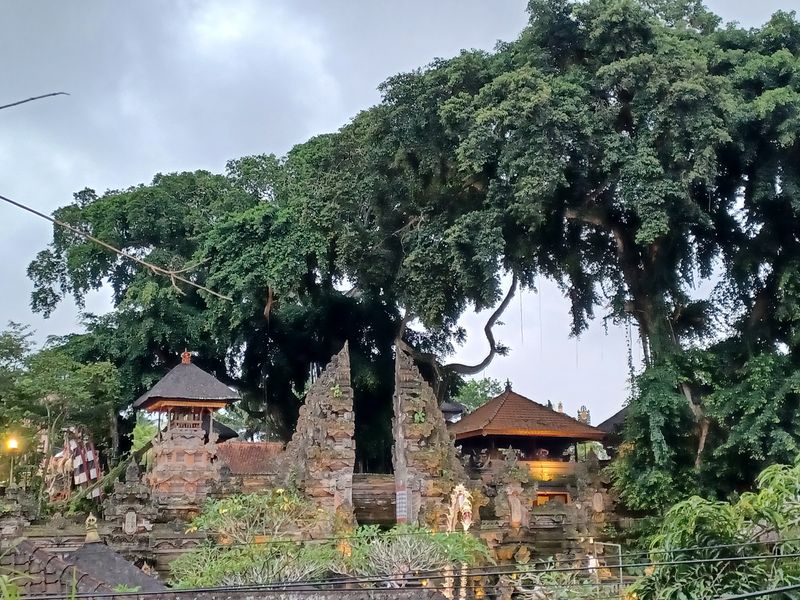 Ubud_4