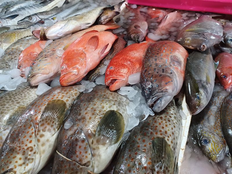 4-aout-jimbaran-avant-le-retour_7