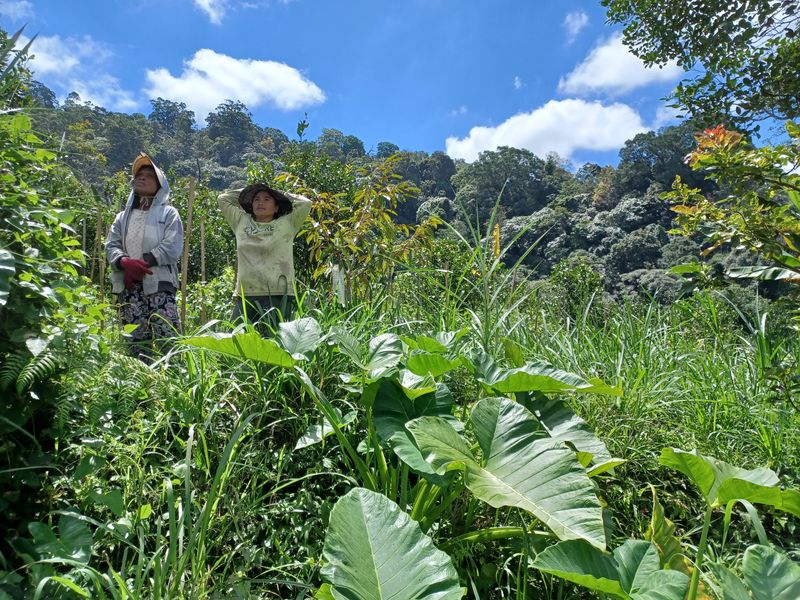 27-juillet-de-aoman-a-sebatu