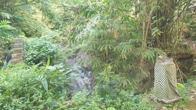 25-juillet-les-rizieres-de-pujungan-a-munduk_24