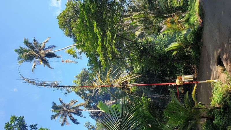 1-er-aout-des-rizieres-de-babi-aux-bains-royaux-de-tirtagangga