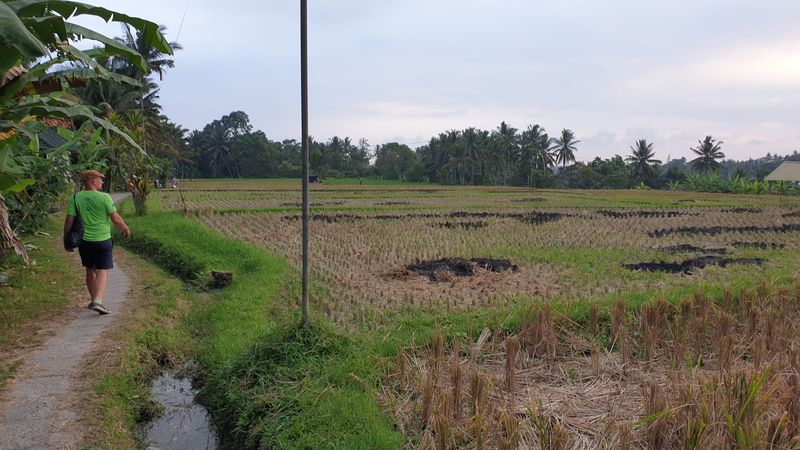 Ubud_2