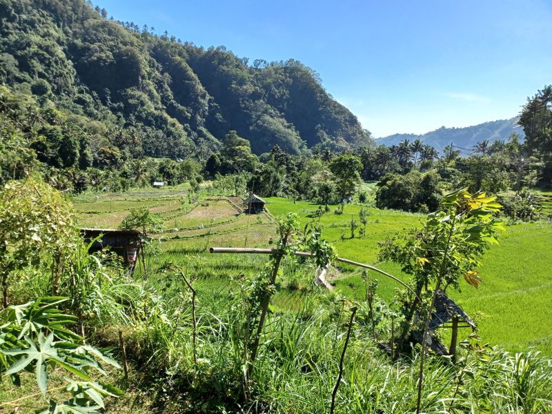 1-er-aout-des-rizieres-de-babi-aux-bains-royaux-de-tirtagangga_5