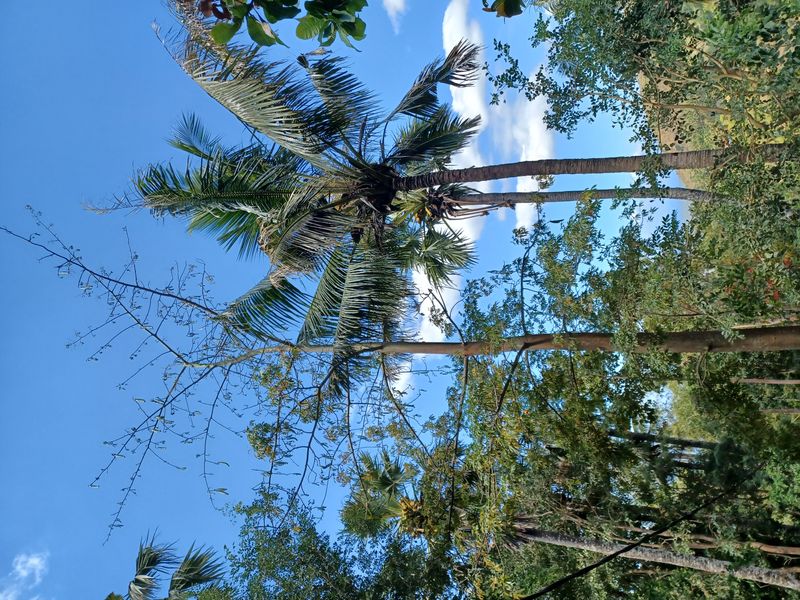 30-juillet-du-lac-batur-a-amed_3