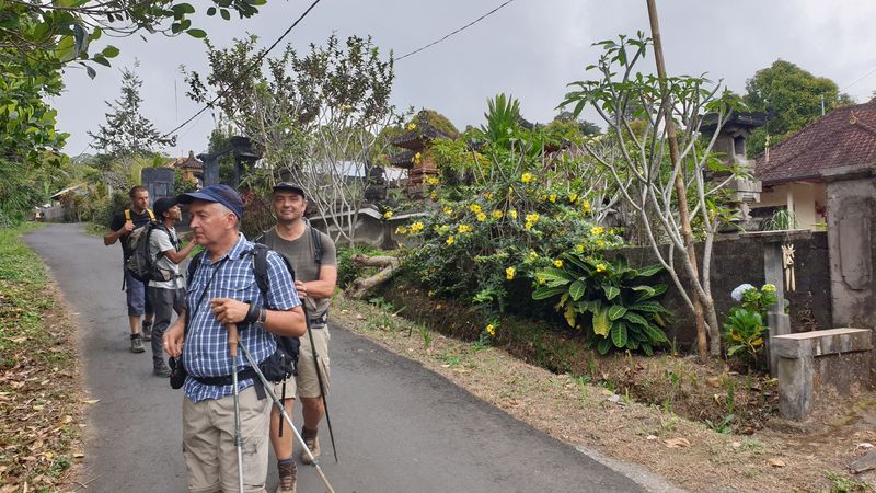 25-juillet-les-rizieres-de-pujungan-a-munduk_10