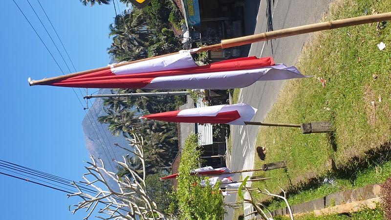 1-er-aout-des-rizieres-de-babi-aux-bains-royaux-de-tirtagangga_9