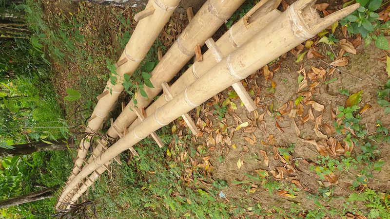 25-juillet-les-rizieres-de-pujungan-a-munduk_11