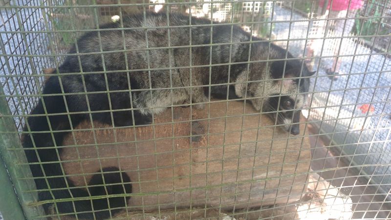 la-fabrique-de-cafe_6