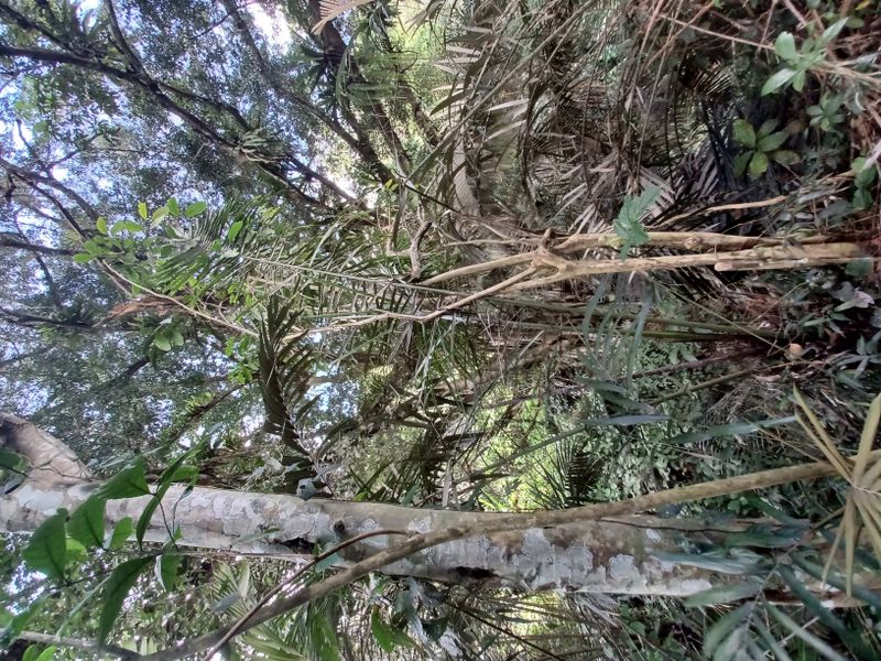 le-temple-de-gunung-kawi_7