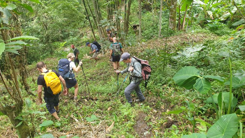 25-juillet-les-rizieres-de-pujungan-a-munduk_13