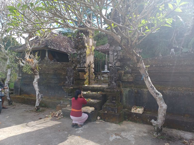 les-rizieres-de-sebatu_4