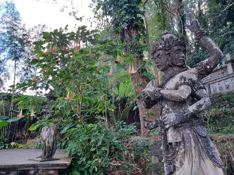 1-er-aout-des-rizieres-de-babi-aux-bains-royaux-de-tirtagangga_3