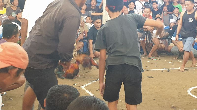 1-er-aout-des-rizieres-de-babi-aux-bains-royaux-de-tirtagangga_11