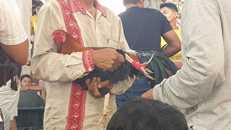 1-er-aout-des-rizieres-de-babi-aux-bains-royaux-de-tirtagangga_6