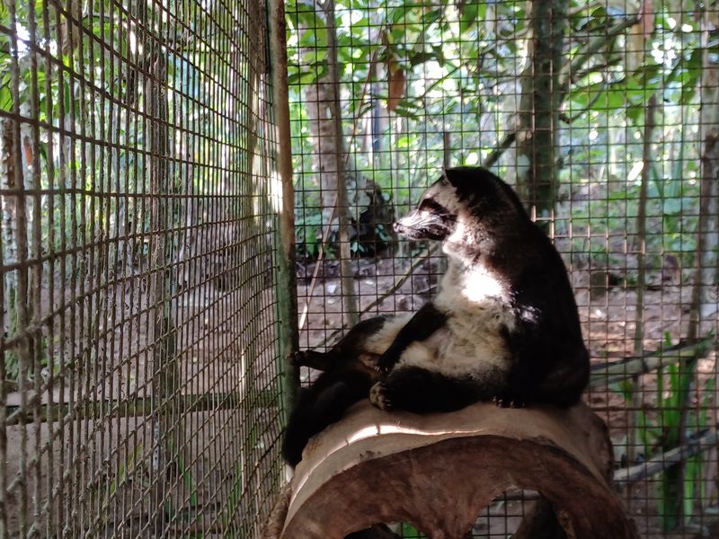 la-fabrique-de-cafe_5