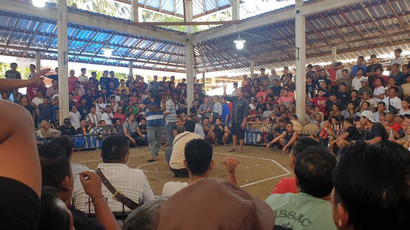 1-er-aout-des-rizieres-de-babi-aux-bains-royaux-de-tirtagangga