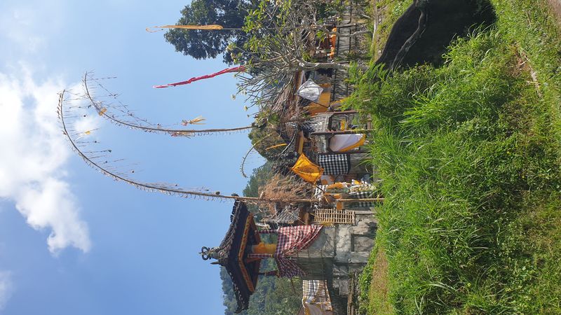 les-rizieres-de-sidemen_11