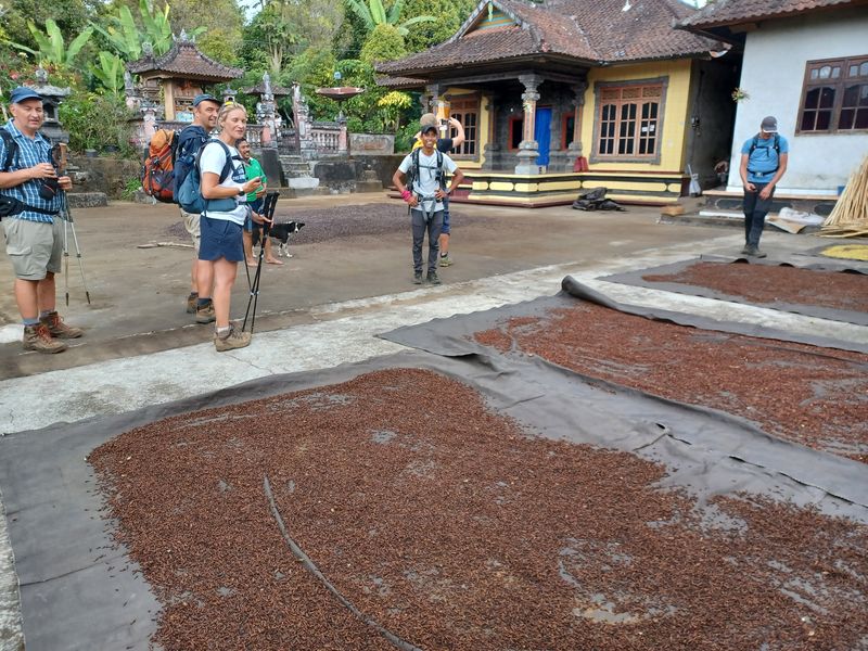 25-juillet-les-rizieres-de-pujungan-a-munduk_2