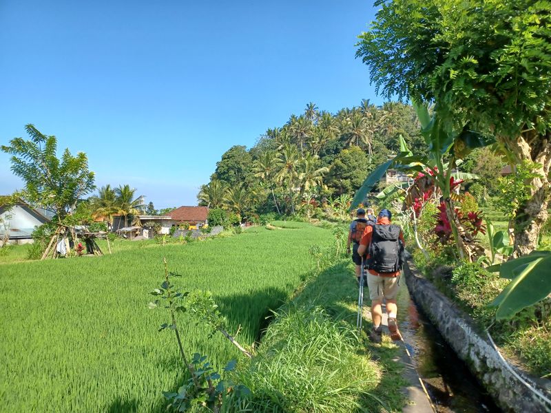 1-er-aout-des-rizieres-de-babi-aux-bains-royaux-de-tirtagangga_3