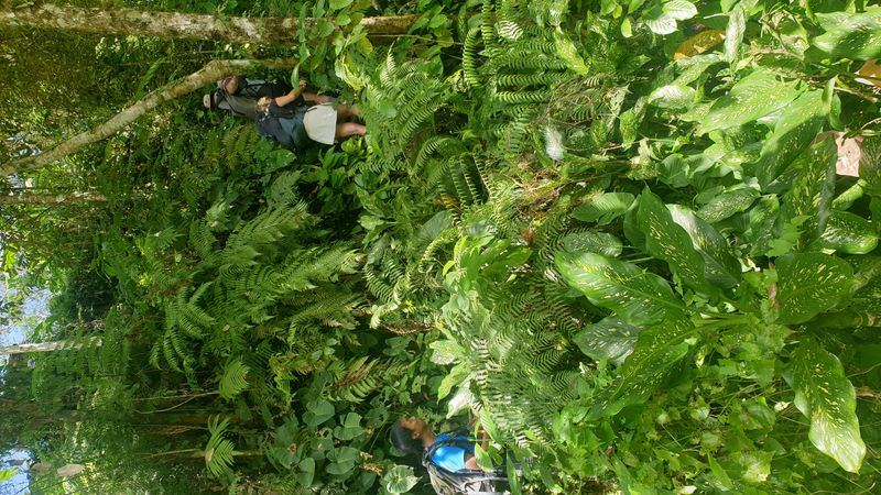 le-temple-de-gunung-kawi_10