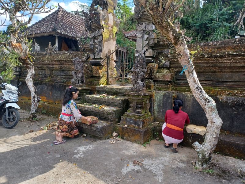 les-rizieres-de-sebatu_2