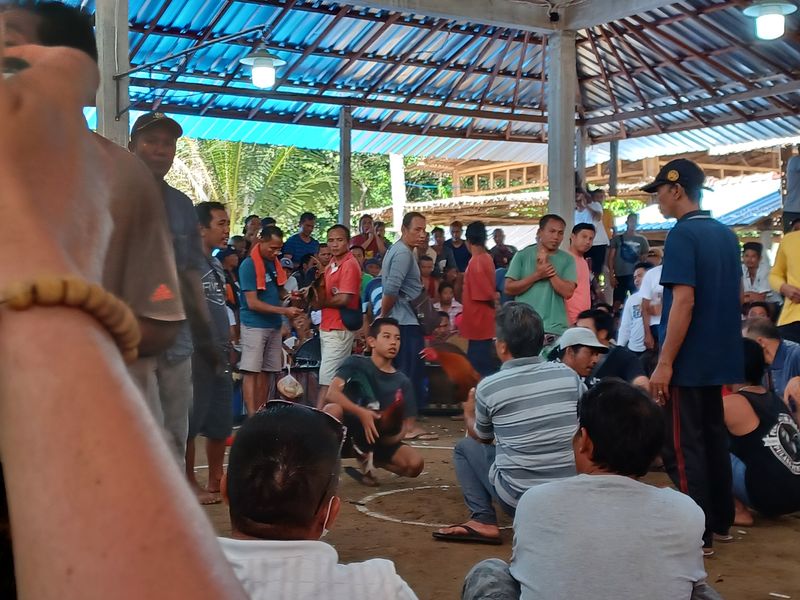 1-er-aout-des-rizieres-de-babi-aux-bains-royaux-de-tirtagangga_7