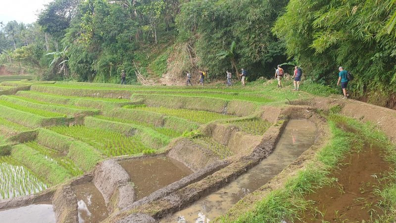 les-rizieres-de-belimbing_26