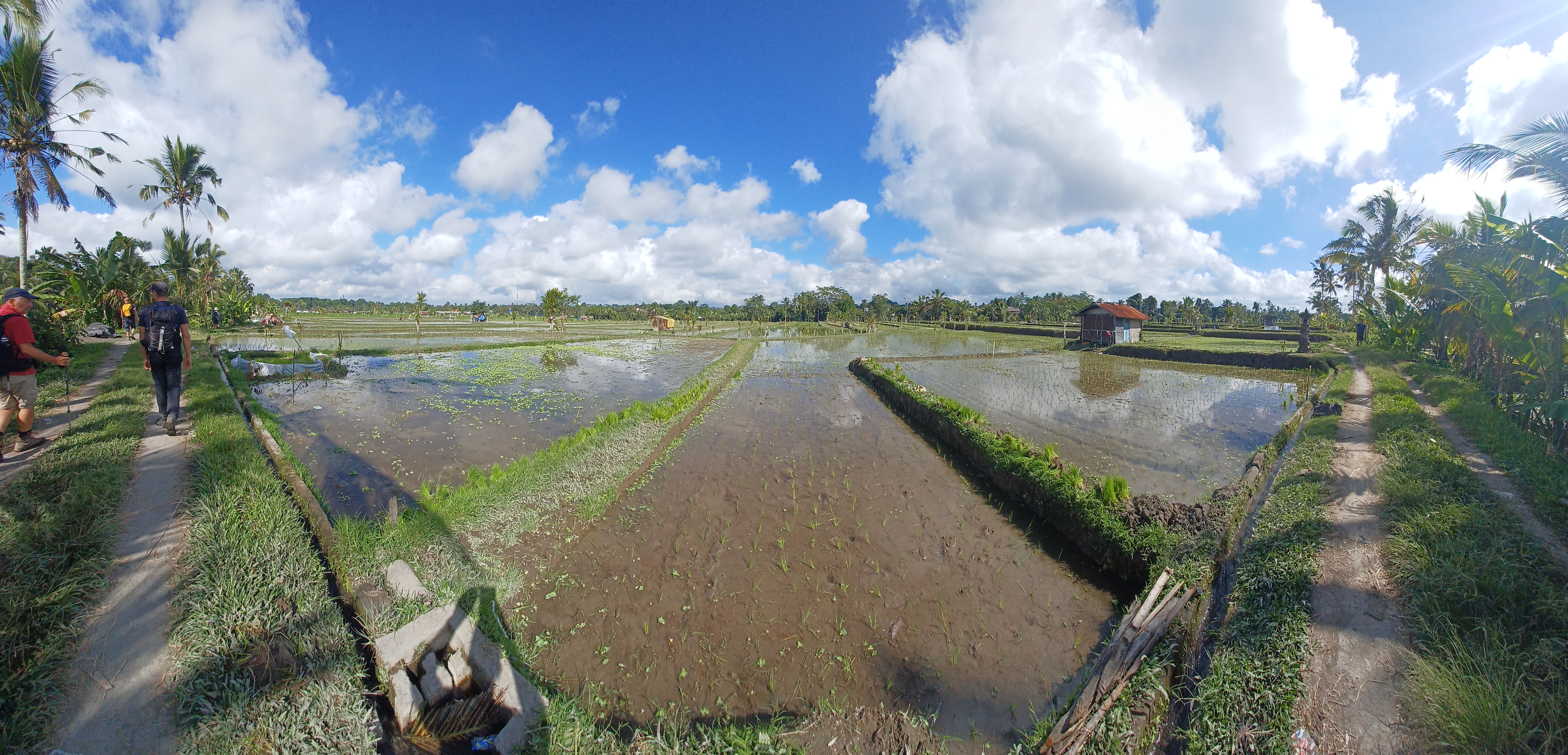 les-rizieres-de-sebatu_15