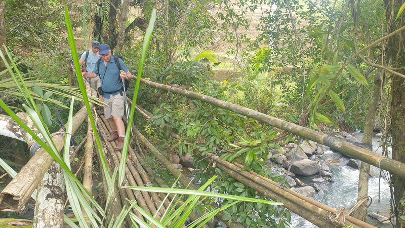 les-rizieres-de-belimbing_3