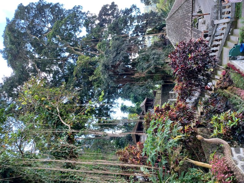 1-er-aout-des-rizieres-de-babi-aux-bains-royaux-de-tirtagangga_7